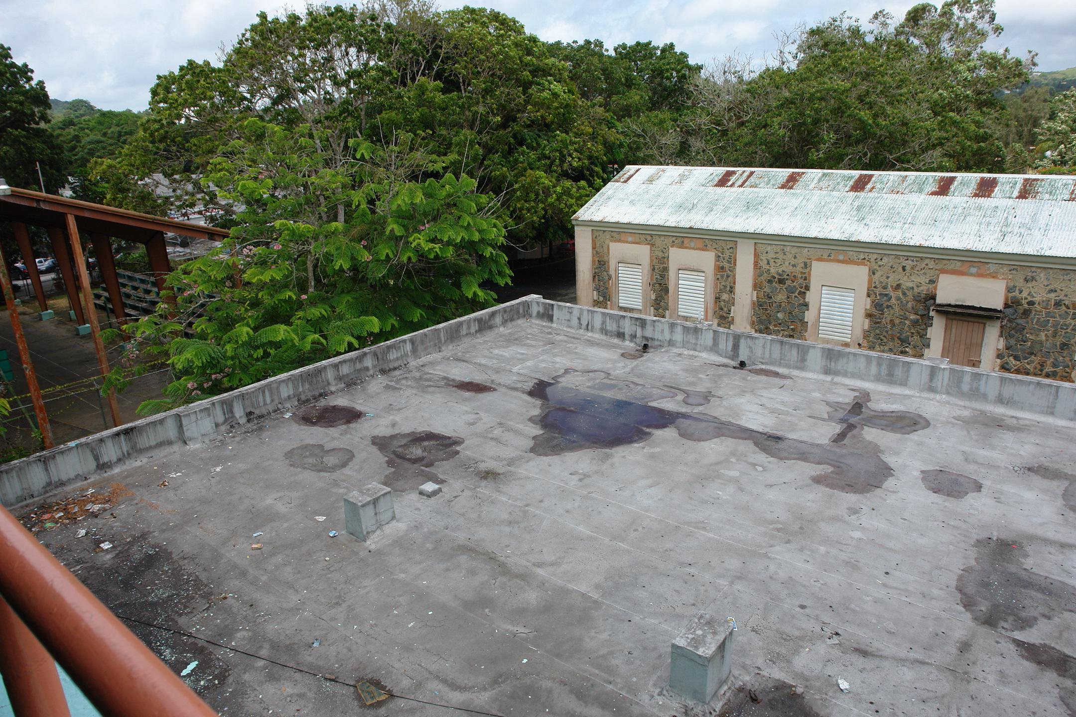 FDI - Aibonito - 2010 00089